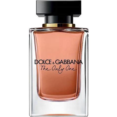 dolce gabbana the only one pricerunner